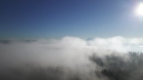 pulling back through advection fog revealing mount rainier and surrounding puget sound forest, aerial