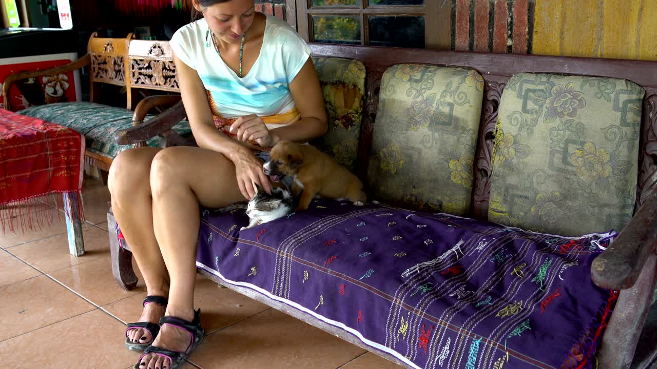 소파 에 앉아 있는 새끼 고양이 와 강아지 를 만지는 여자