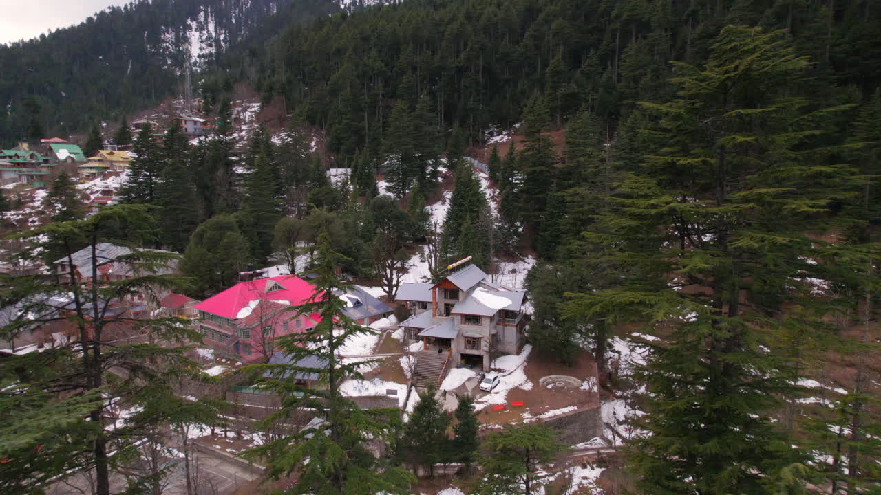 Ukazujące się drzewa z ujęcia drona w ośnieżonych górach Himachal Pradesh w Indiach