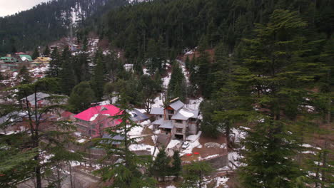 árboles reveladores de un disparo de drones en montañas nevadas de himachal pradesh en india