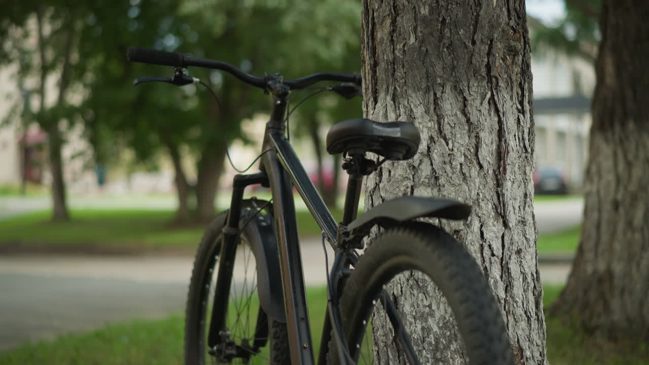 primer plano de una bicicleta estacionada apoyada contra un árbol en un entorno de parque exuberante con un fondo borroso suave con árboles, vegetación y edificios distantes