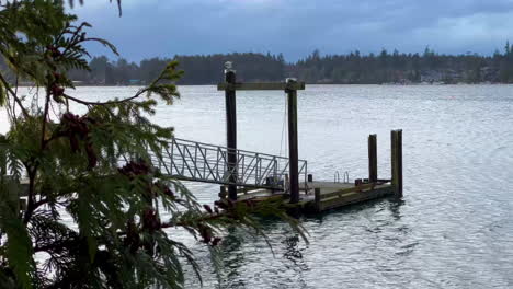 wooded pier to swimming dock on glassy, stormy lake