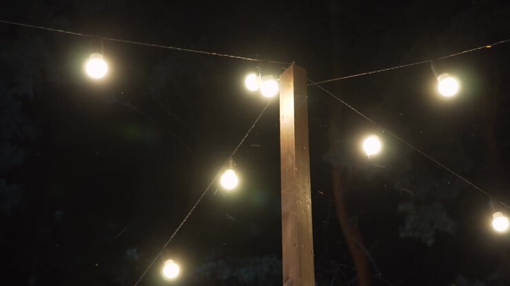 Large number of flying insects circle around burning garland light bulbs.
