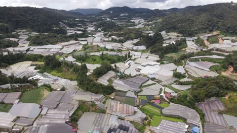 general landscape view of the brinchang district within the cameron highlands area of malaysia