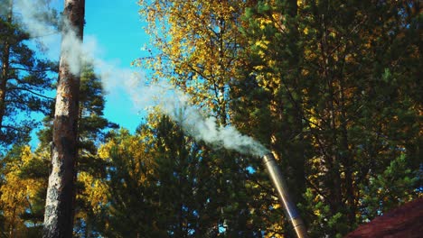 pequeña chimenea en ángulo eructa humo durante el campamento del bosque de otoño