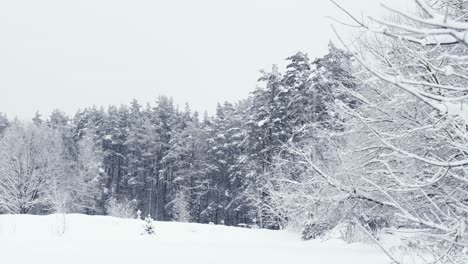 Toma-De-Establecimiento-Del-País-De-Las-Maravillas-Del-Paisaje-Invernal,-Campo-Y-árboles-Cubiertos-De-Nieve