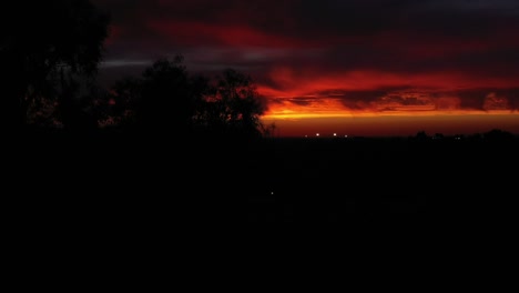 phoenix arizona sunset with eucalyptus silhouette, hot summer nights