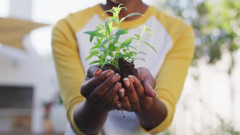 Mid-section-of-african-american-woman-holding-plant