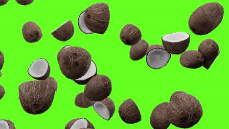 falling coconuts on a green background