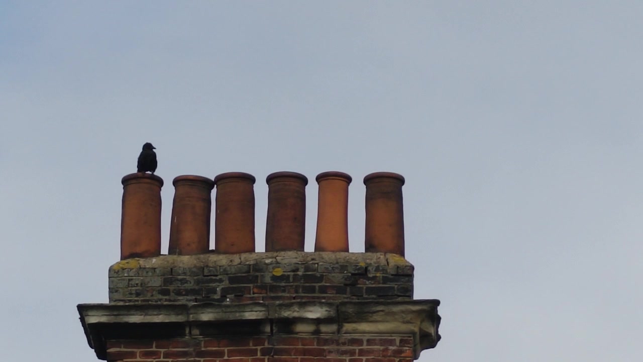 A pigeon perches above traditional terracotta chimney pots on an old brick rooftop beneath a grey sky