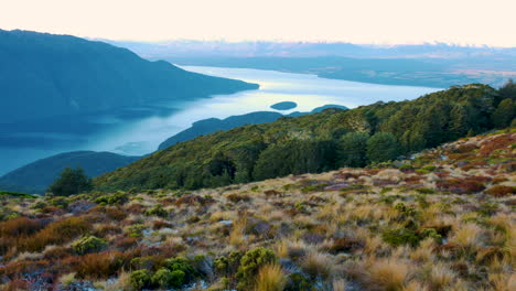 panning shot of picturesque landscape with plants,trees,blue lake and snowy mountains in background