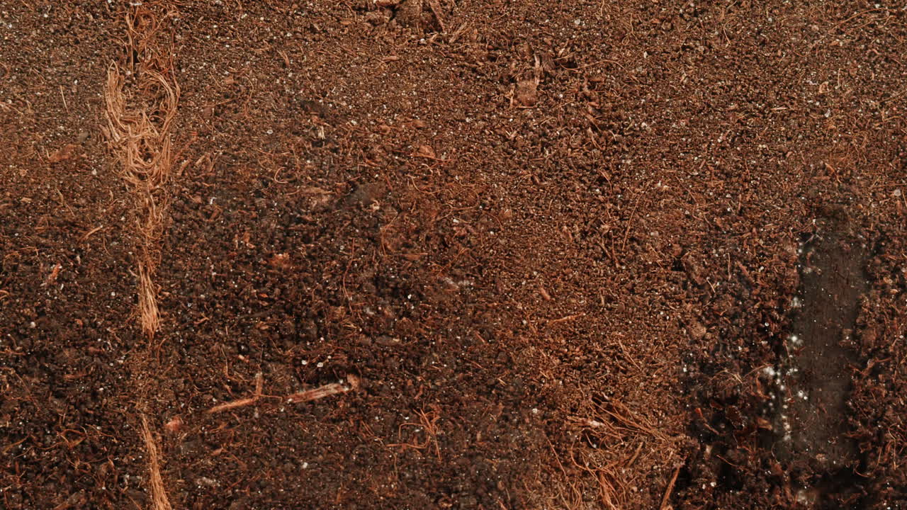 Close-up view of potting soil
