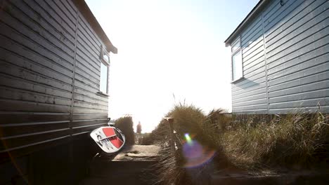 summer holiday at the beach house