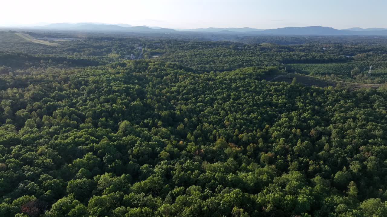 Aerial flyover beautiful and picturesque forest landscape and hills on sunny summer day. American rural area and woodland. Magnificent shot from above. Wide shot