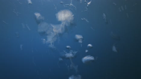 air bubbles underwater rise up to the surface in clear blue water of the ocean