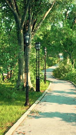 park path with streetlights