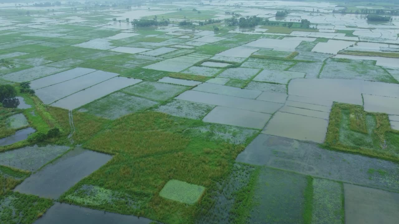 The surrounding area was flooded due to heavy rain