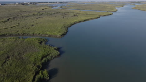 vista aérea de un paisaje pantanoso
