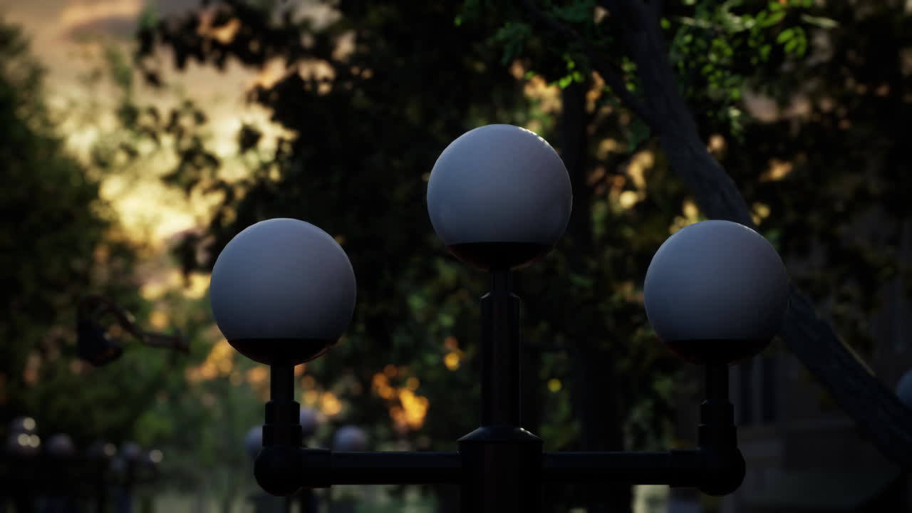 2020 년 코로나 19 대유행 기간 동안 비어있는 폐쇄된 공원