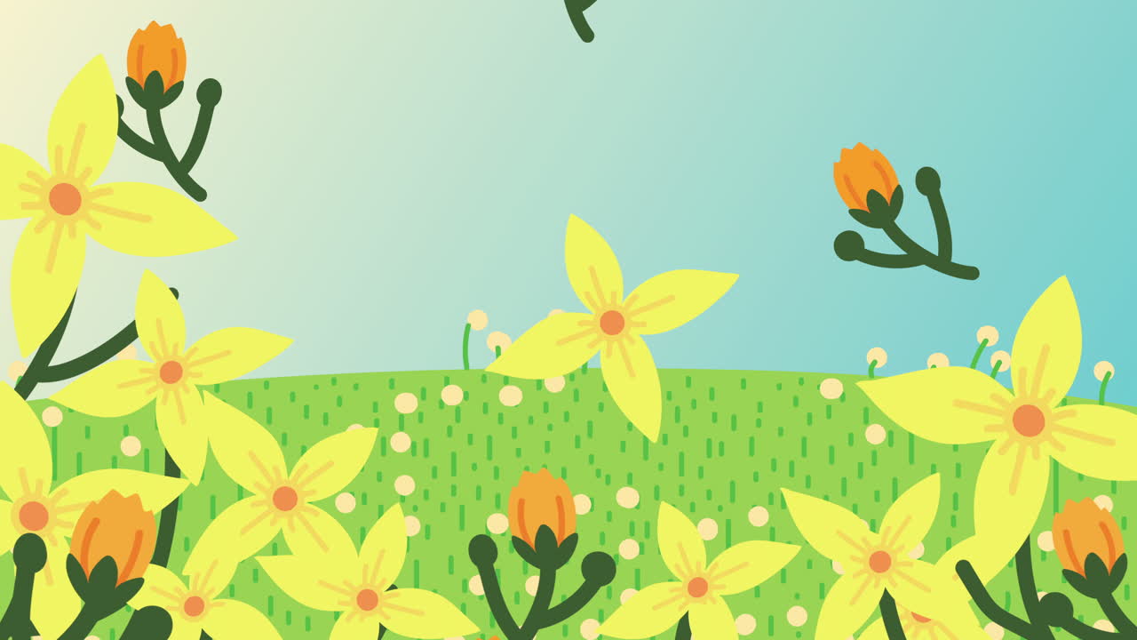 Spring Meadow Flowers