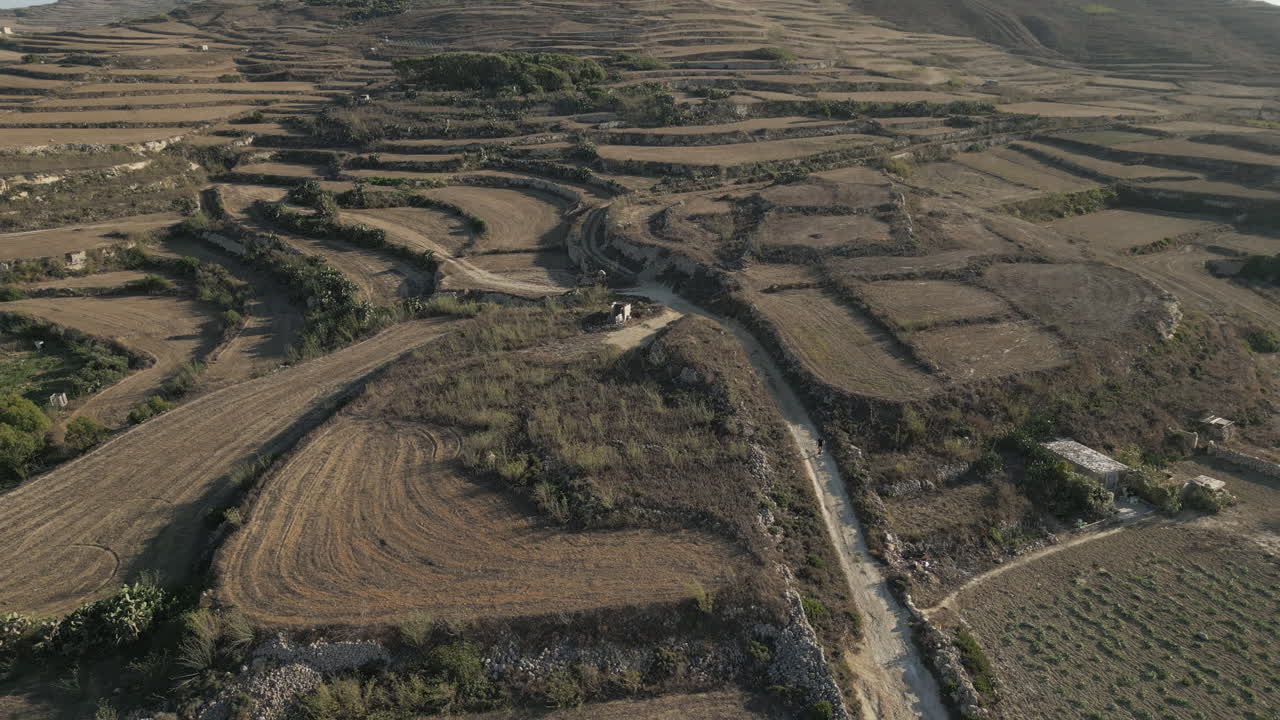 corredor de sexo masculino corriendo en la naturaleza