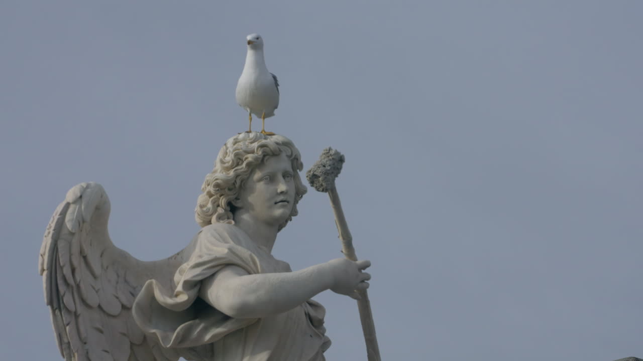 Seagull on top of statue in Castel Sant'Angelo, Italy, Rome