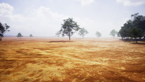 Expansive dry landscape with scattered trees under a cloudy sky