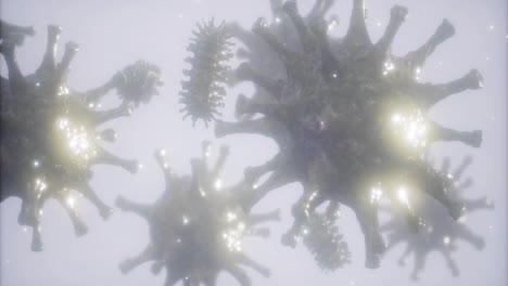 discover the hidden microbial wonders beneath our eyes in detail