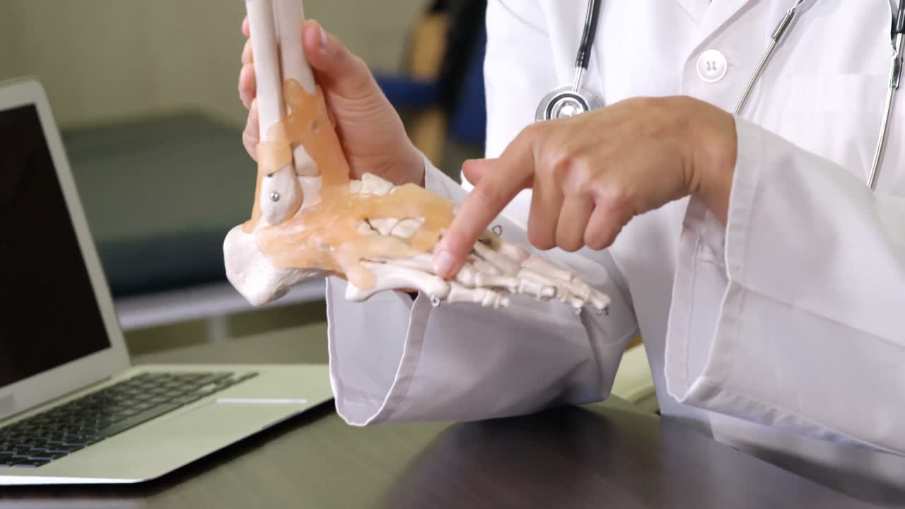 골격 발 모델 을 들고 있는 물리 치료사