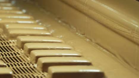 desserts on conveyor belt in wafer, biscuit, cake factory-2