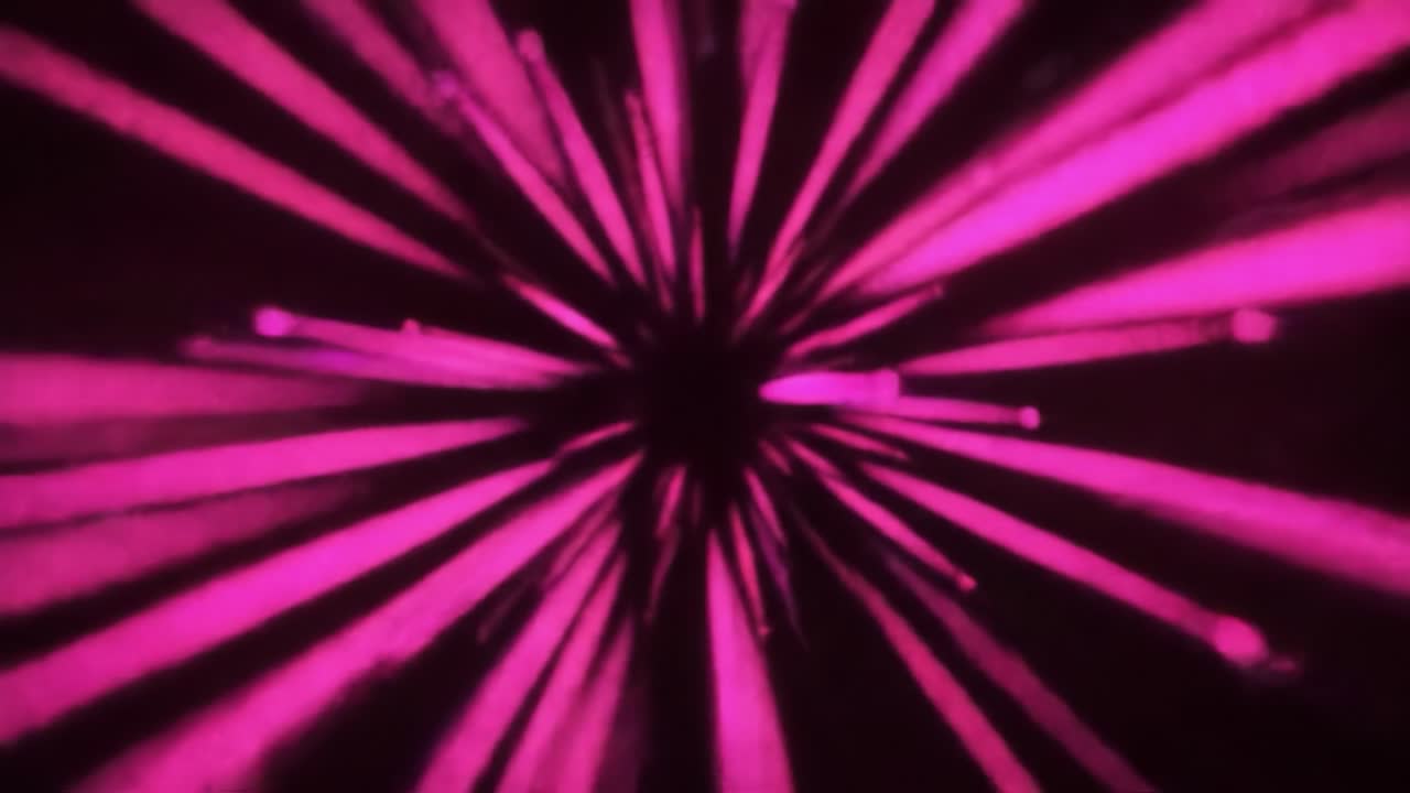 Abstract Pink Radial Motion