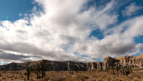 clouds quickly roll across the sky above the cliffs at red rock canyon state park with joshua trees in the foreground of this dramatic time lapse