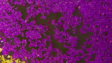 purple and gold glitter texture