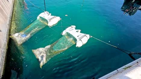 floating device filtering rubbish from water