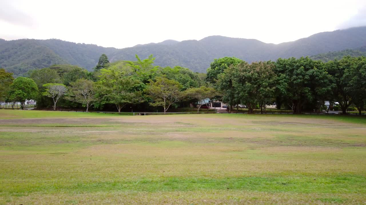 Trees in a field slow motion with large mountains in the background
