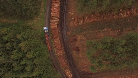 operaciones de silvicultura y tala que se llevan a cabo en las tierras altas de escocia utilizando grandes maquinarias industriales, barcos y camiones