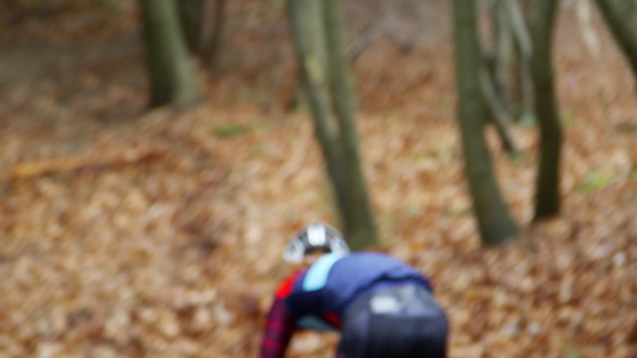 ciclista de cross-country haciendo descenso en un bosque, vista de atrás, filmado en r3d