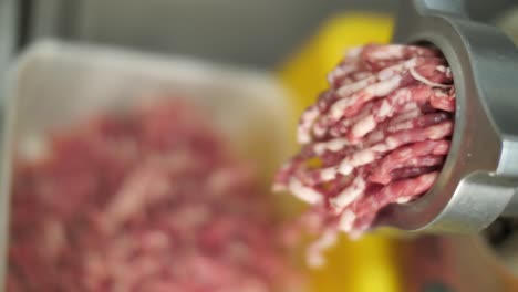 procesamiento de alimentos, máquina trituradora que produce carne picada, primer plano