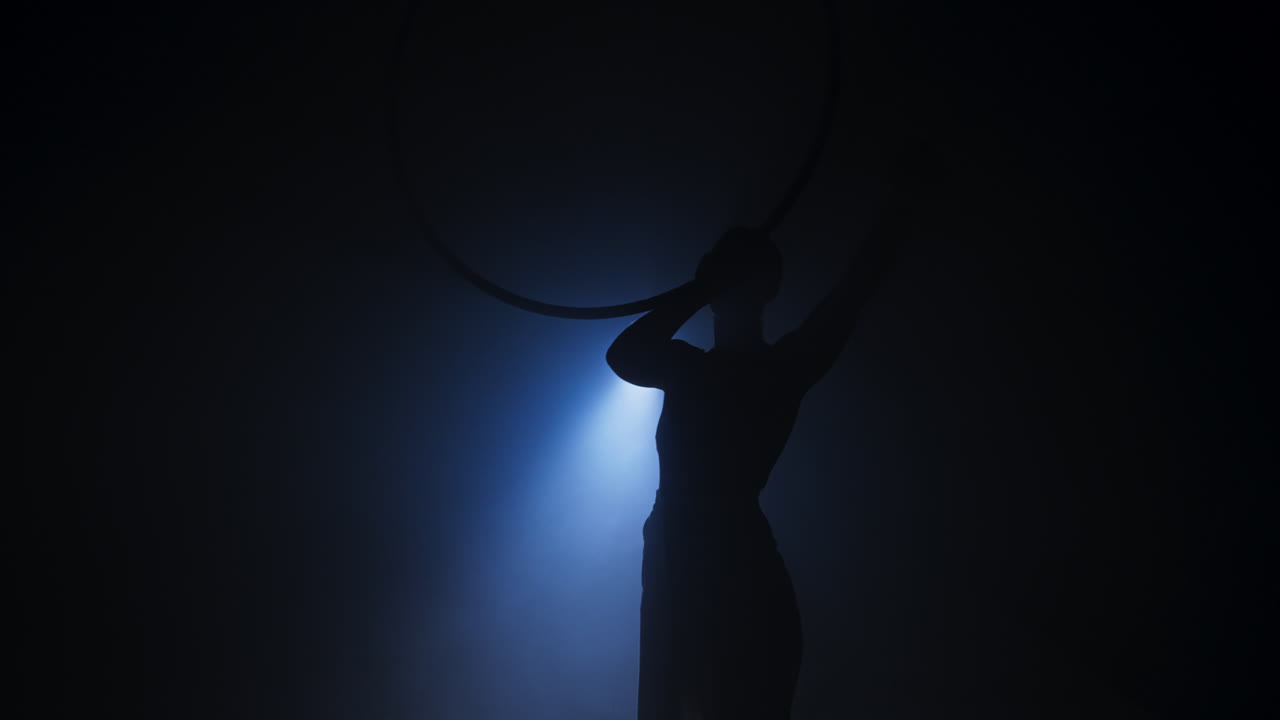 Aerial Hoop Performance Silhouette
