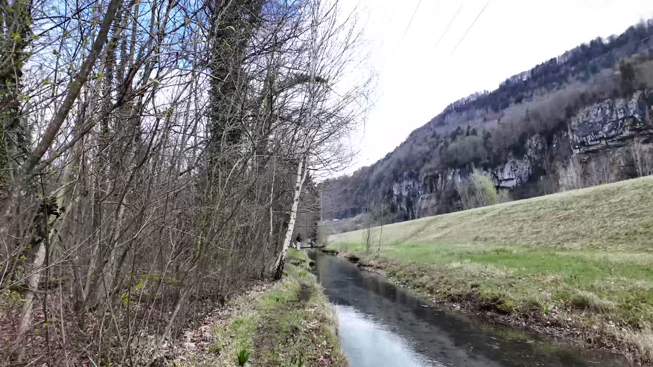 un perro blanco corre a lo largo de la vía fluvial, en contraste con la grandeza de las majestuosas cadenas montañosas de suiza, simbolizando la esencia de la libertad y el atractivo de la belleza natural.