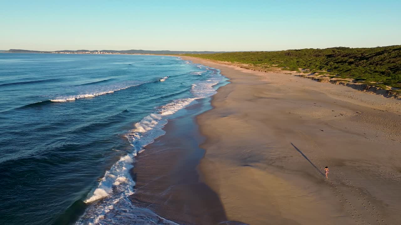 playa aérea con persona corriendo en la arena costa cabecera olas del océano luz de la mañana matorral la entrada cabecera de norah nsw australia 4k