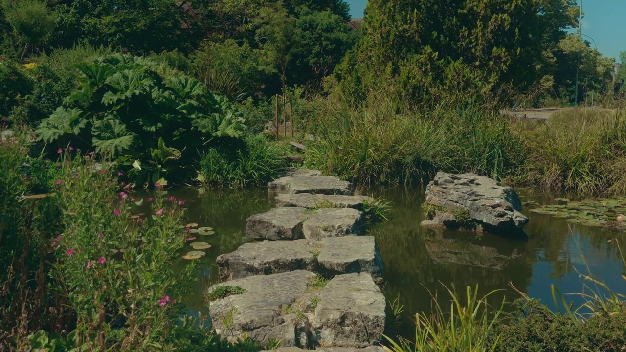 Stepping stone path crosses calm pond surrounded by dense greenery, tall grass, flowering plants, rocks, and trees in a peaceful summer garden in Brighton, England.