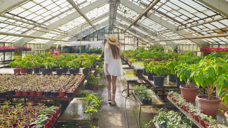 woman exploring a greenhouse filled with various plants