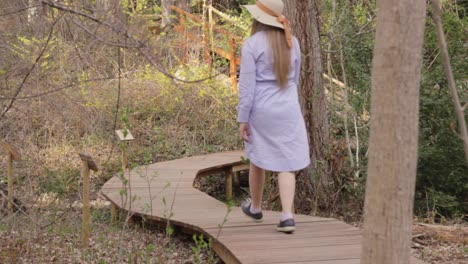 Rear-view-of-single-tourist-girl-walking-on-wooden-path-in-forest,-static