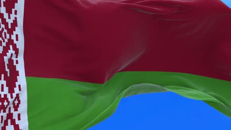 seamless loop of belarusian flag.