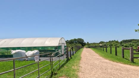 progression of a walk down a farm path