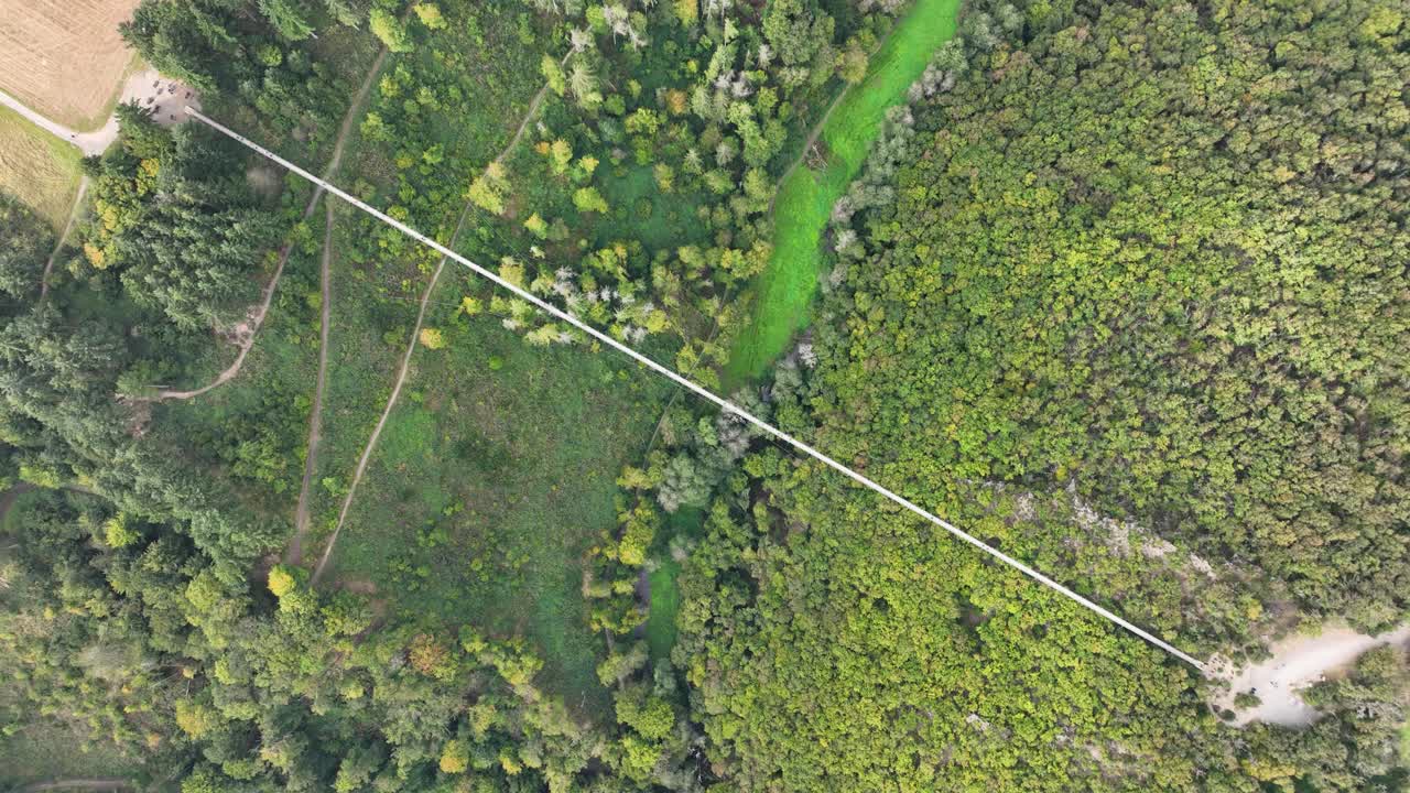 Aerial View of a Long Suspension Bridge in a Forest
