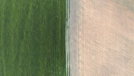 toma aérea de seguimiento aéreo de 4k de un camino recto de tierra en la república checa entre un prado verde en el lado izquierdo y un cultivo beige seco en el derecho