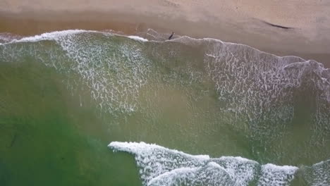 A-woman-stands-on-an-empty-beach-as-the-waves-roll-towards-her