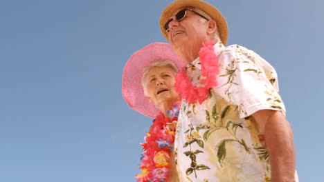 smiling senior couple on the beach